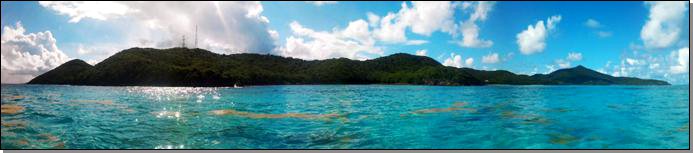 the pool grenadines