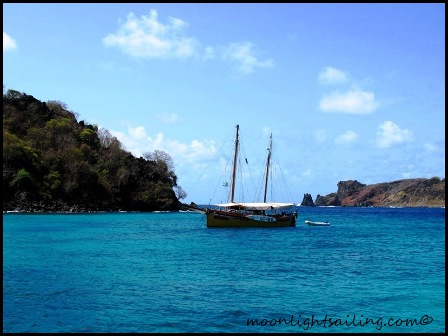 Frigate Grenadines