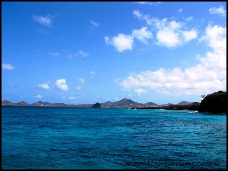 Frigate Grenadines