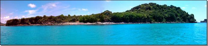 frigate grenadines