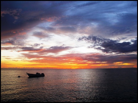 Ile Moustique Grenadines
