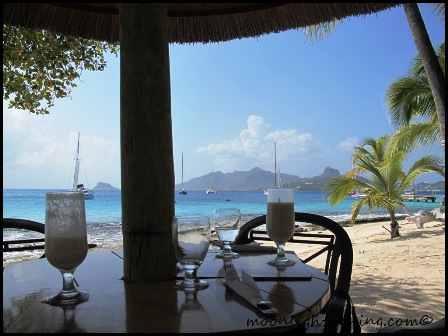Palm Island Grenadines