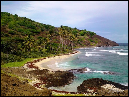 Petit Nevis Grenadines