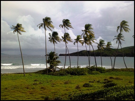Petit Nevis Grenadines