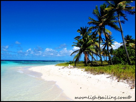 Petit Tabac Grenadines