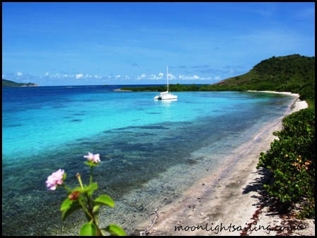 Saline Island Grenadines