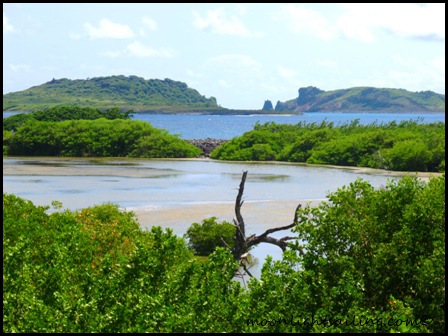 Saline Island Grenadines