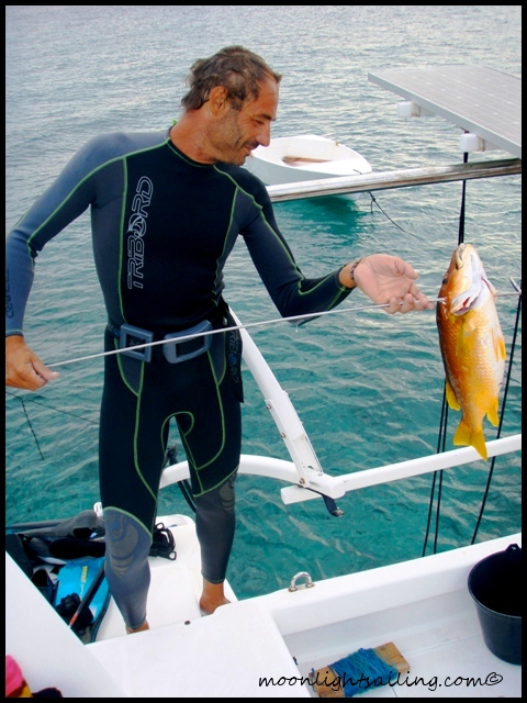 Spear gun fishing