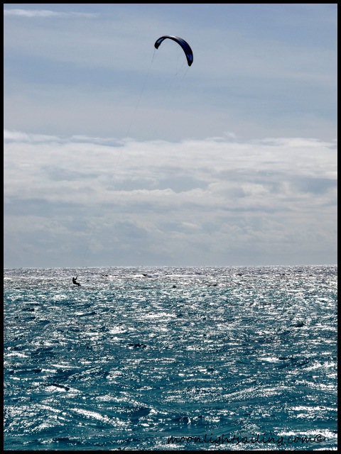 Tobago Cays Grenadines