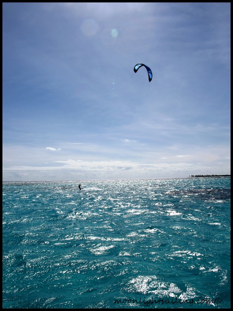 lagon des Tobago cays et Petit Tabac