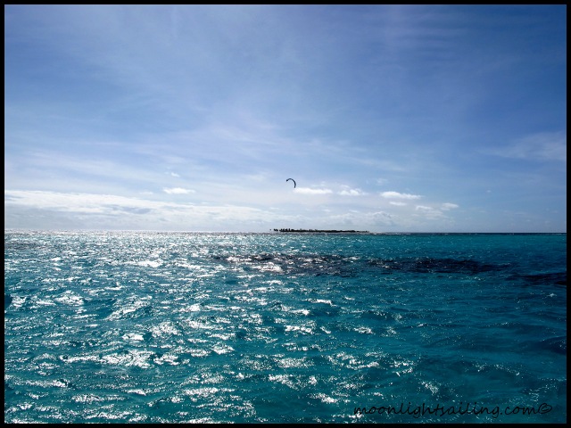 Session Kite Grenadines