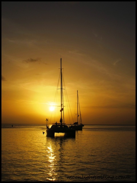 Catamaran Saint Lucia