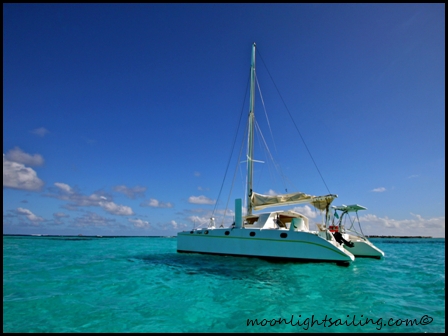catamaran grenadines