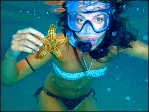 snorkeling Antilles