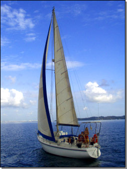 voilier