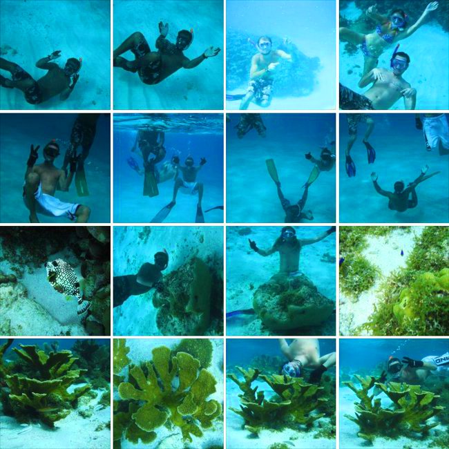 Grenadines