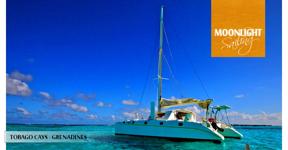 Catamaran de location au mouillage aux Tobago Cays