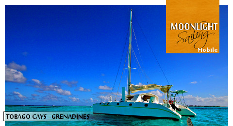 catamaran de location au mouillage aux Tobago Cays