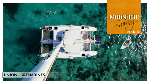 catamaran au mouillage  Union Island, vue depuis la tte de mat