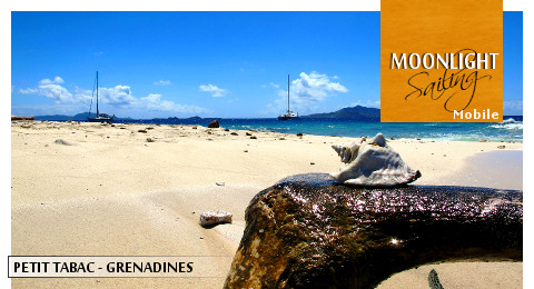 Catamaran de croisiere au mouillage  Petit Tabac, archipel des Grenadines